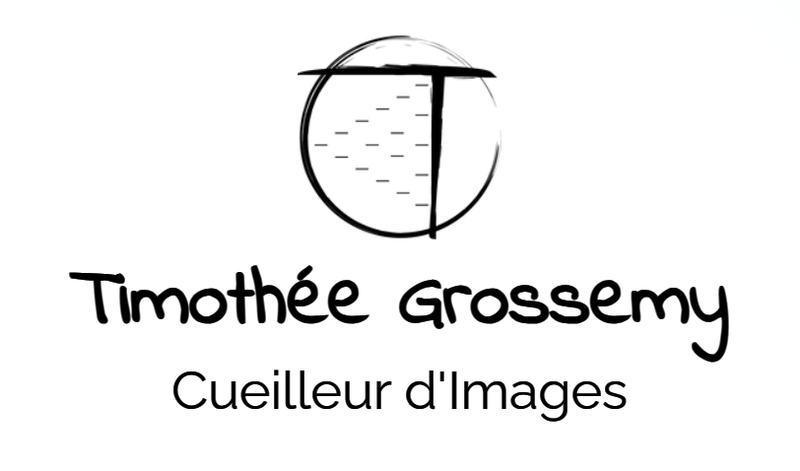 Thimothée Grossemy